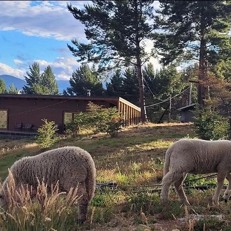 Appartement Turismo Y Cabanas Dragon De La Patagonia à Cochrane Extérieur photo