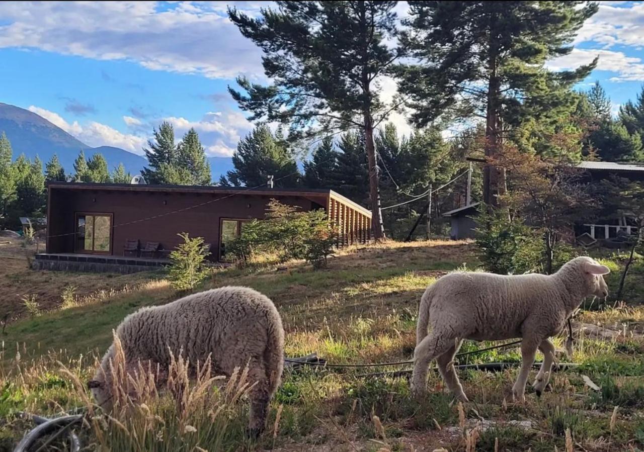 Appartement Turismo Y Cabanas Dragon De La Patagonia à Cochrane Extérieur photo