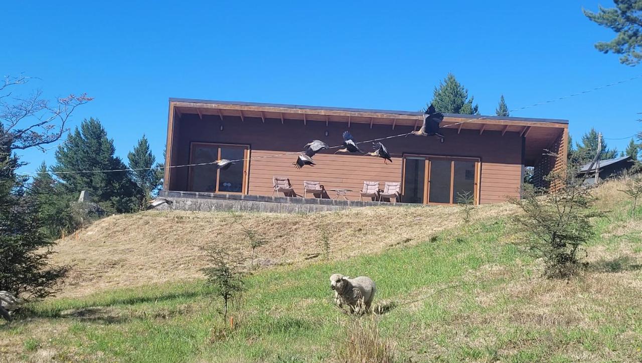 Appartement Turismo Y Cabanas Dragon De La Patagonia à Cochrane Extérieur photo